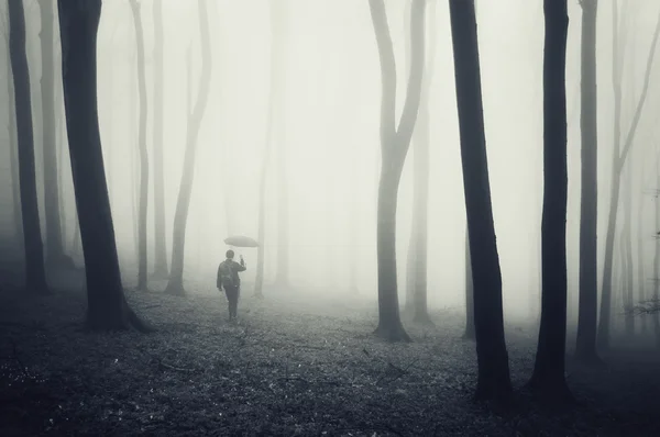 Man with umbrella walking in dark forest with fog