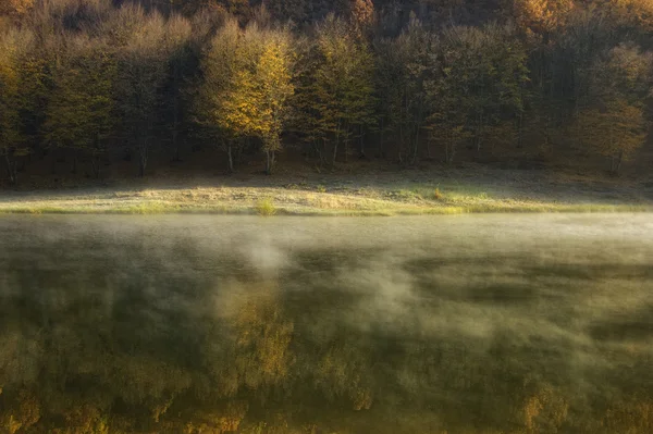 Autumn morning at a forest lake with fog — Stock Photo, Image