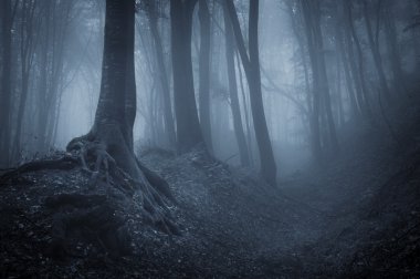 Night in a dark forest with fog and black trees clipart