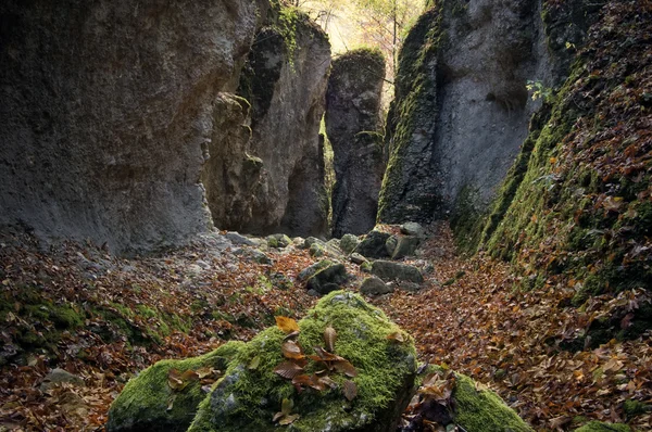 Høstlandskap med store klipper i en fargerik skog – stockfoto