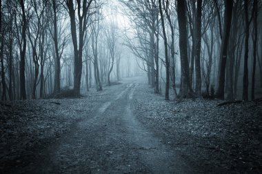 Road trough a dark scary forest with fog clipart