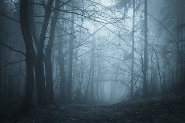 Darkness in a forest with fog clipart
