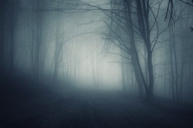 Night in a dark forest with fog clipart