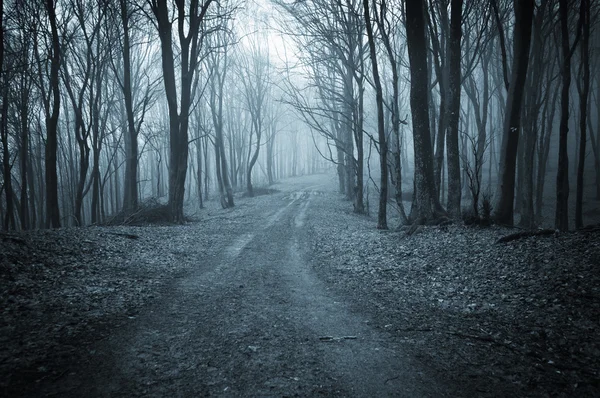 Weg via een donker eng bos met mist — Stockfoto