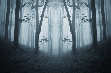 Trees with leafs in a dark forest clipart