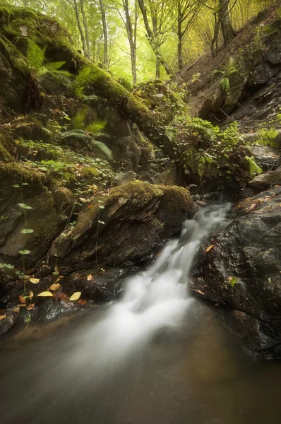 Cascata su un fiume verde di montagna — Foto Stock