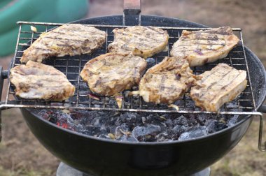 kömür üstünde lezzetli ızgara kebap