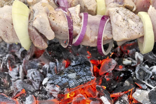 美味烧烤烤肉串上发光的木炭 — 图库照片