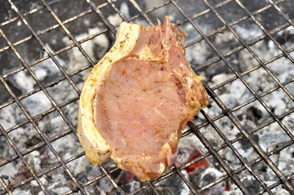 Gustoso kebab alla griglia su un carbone — Foto Stock