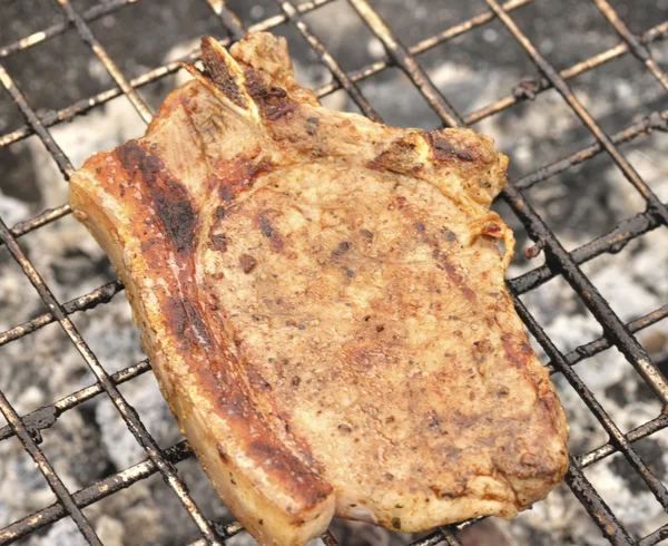 Läckra grill kebab på ett kol — Stockfoto