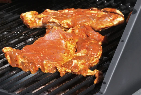 Gustoso kebab griglia su una cella barbecue griglia — Foto Stock