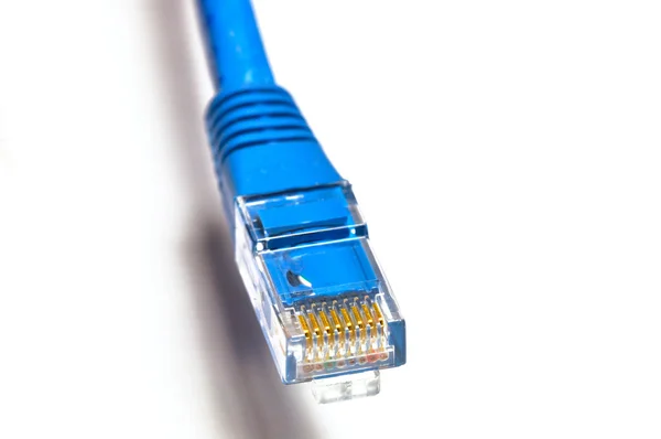 Blå internet kabel — Stockfoto