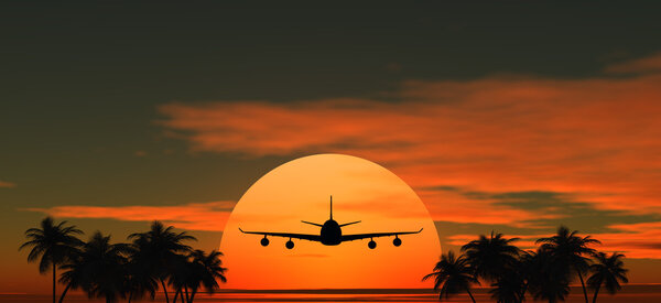 Airplane flying at sunset over the tropical land with palm trees