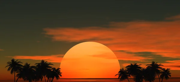 Τροπικούς φοίνικες που βρίσκονται σε φόντο του ουρανού ηλιοβασίλεμα με τον ήλιο ρύθμιση στη μέση — Φωτογραφία Αρχείου