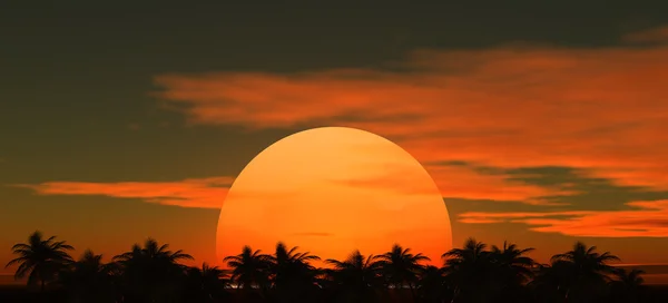 Tropische palmbomen tegen een achtergrond van de zonsondergang hemel met de ondergaande zon in het midden Stockfoto