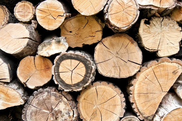Woodpile firewood — Stock Photo, Image