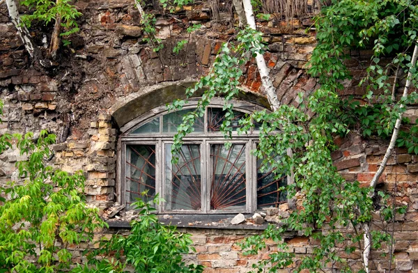 Fenêtre dans la maison jetée — Photo