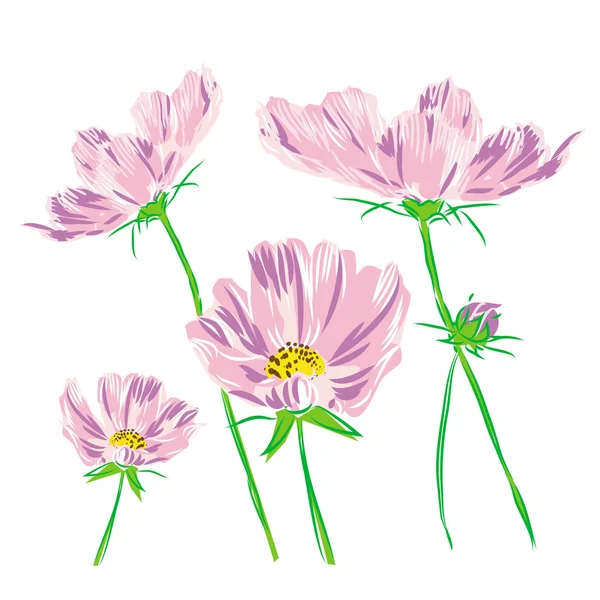 花束の花コスモスの花色ラスター — ストック写真