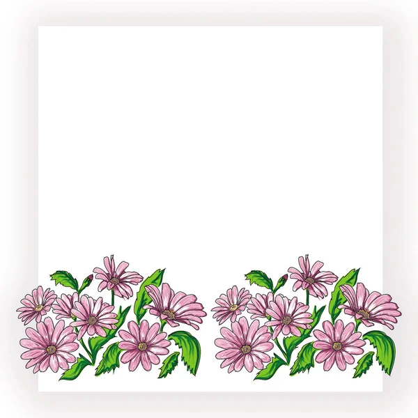Granica daisywheels róża — Zdjęcie stockowe