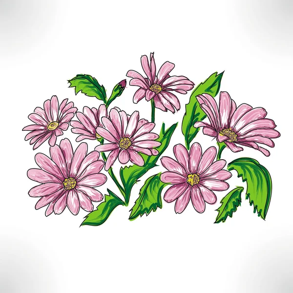 Daisywheels rosa — Foto Stock