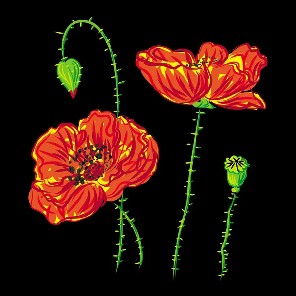花卉罂粟，在黑色的背景栅格上的海葵 — 图库照片