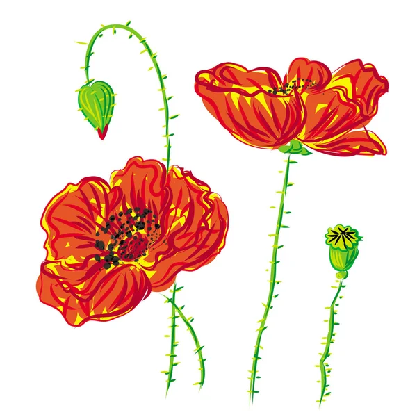 Flower poppy, anemone raster — Stock Photo, Image