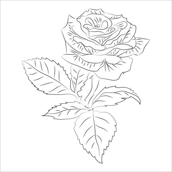 Róża mała kontur rastrowych — Zdjęcie stockowe