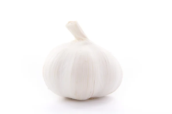 Fresh single garlic on white background — Stock Photo, Image