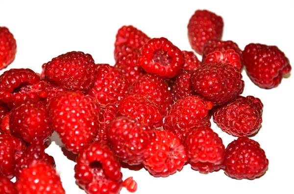 Raspberries fruit on white background — Stock Photo, Image