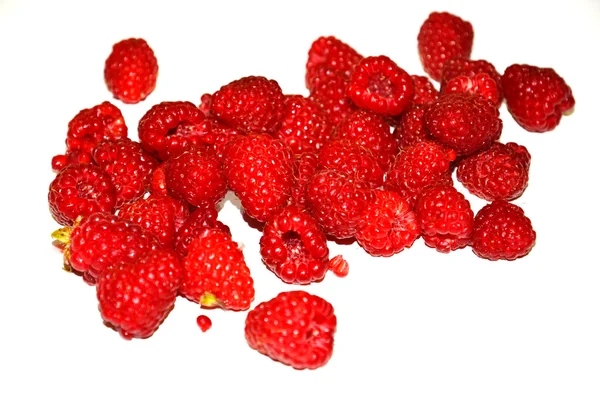 Raspberries fruit on white background — Stock Photo, Image