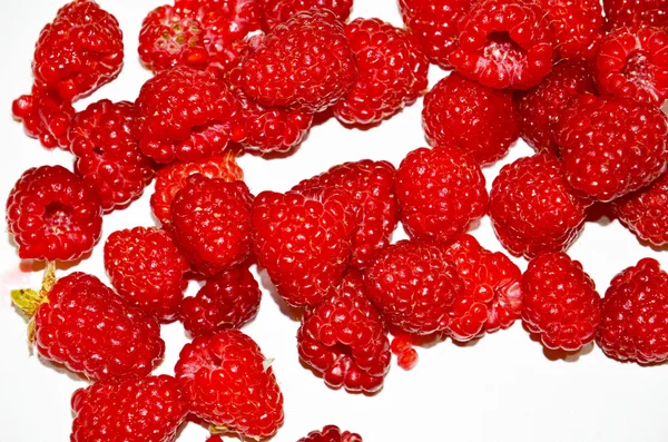 Framboesas frutas no fundo branco — Fotografia de Stock