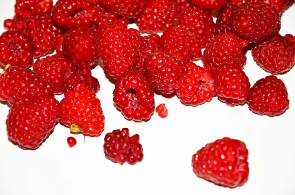 Framboesas frutas no fundo branco — Fotografia de Stock