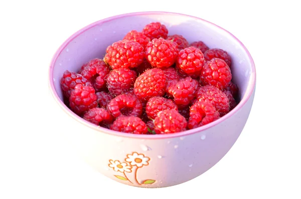 Raspberries fruit in a violet bowl, white background — Stock Photo, Image