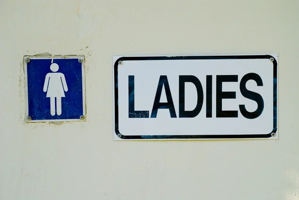 Pin by Esther Wambalo on POSTERS | Ladies toilet, Toilet sign, Brushed  silver