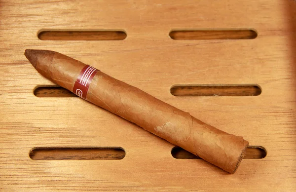 Cubaanse sigaar en een guillotine — Stockfoto