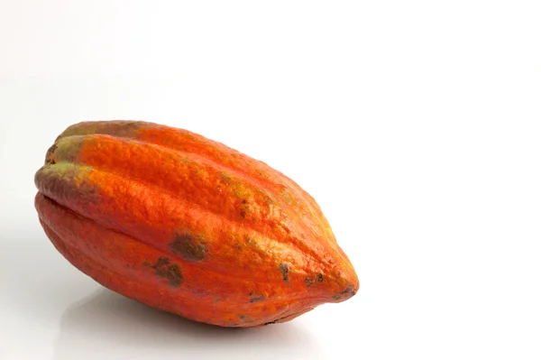 Kakaofrucht Stockbild