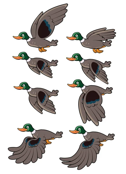 Animation Oiseau volant — Image vectorielle
