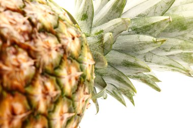 Beyaz üzerine izole edilmiş ananas