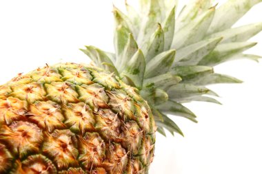 Beyaz üzerine izole edilmiş ananas