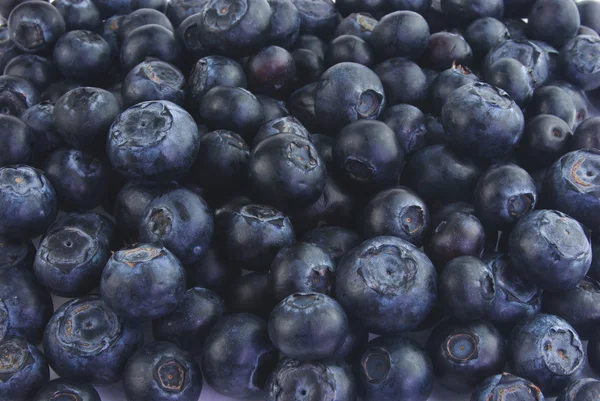 Massor av blåbärブルーベリーの多く — Stockfoto