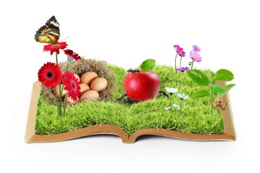 Naturally growing from a book clipart