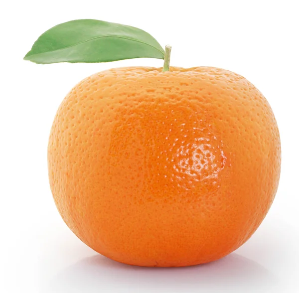 สีส้มบนพื้นหลังสีขาว — ภาพถ่ายสต็อก
