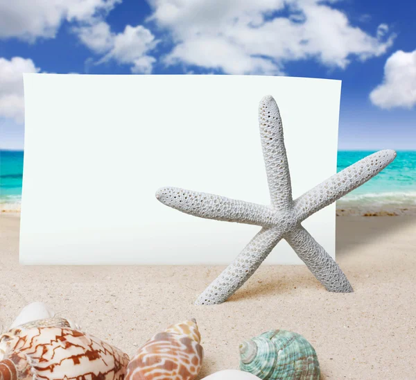 Deniz yıldızı ve kağıt — Stok fotoğraf