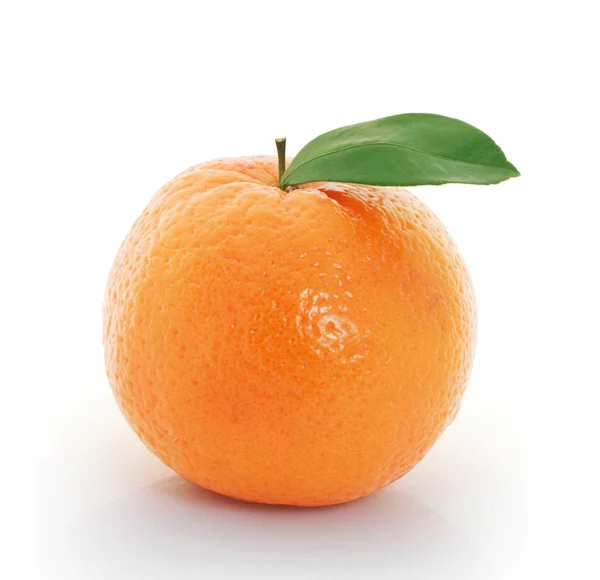 Orange sur fond blanc — Photo