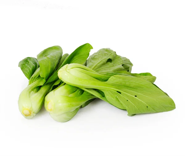 Saláta fehér alapon — Stock Fotó