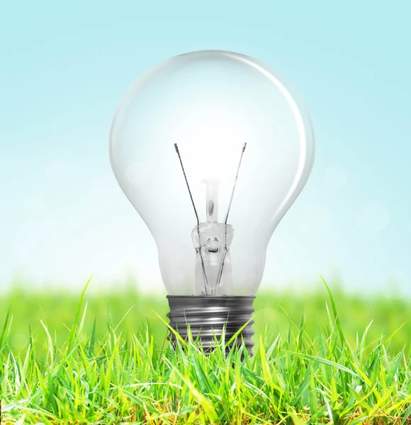 Light bulb with grass — Stock Photo, Image
