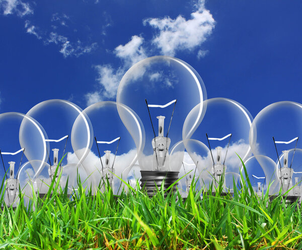 Лампочка с травой
