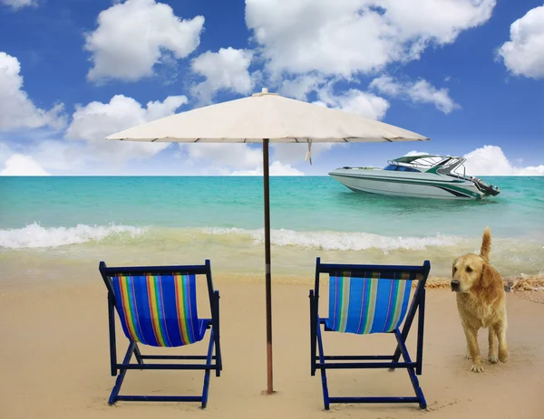 关于完美热带沙滩椅 — 图库照片