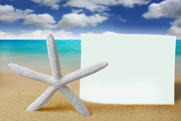 Starfish e o papel — Fotografia de Stock