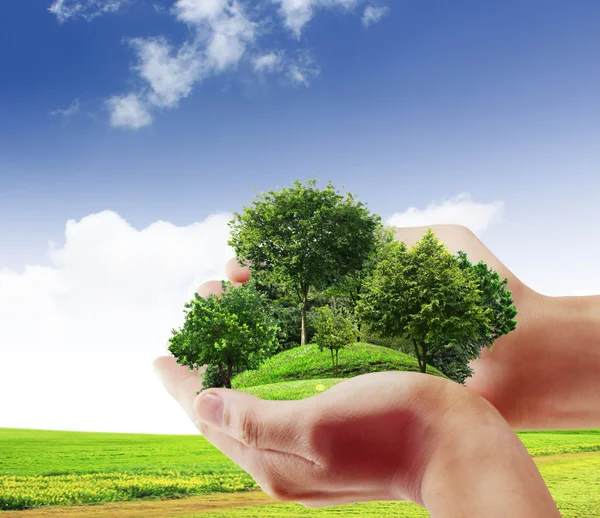 Green tree in a hand — Stock Photo, Image